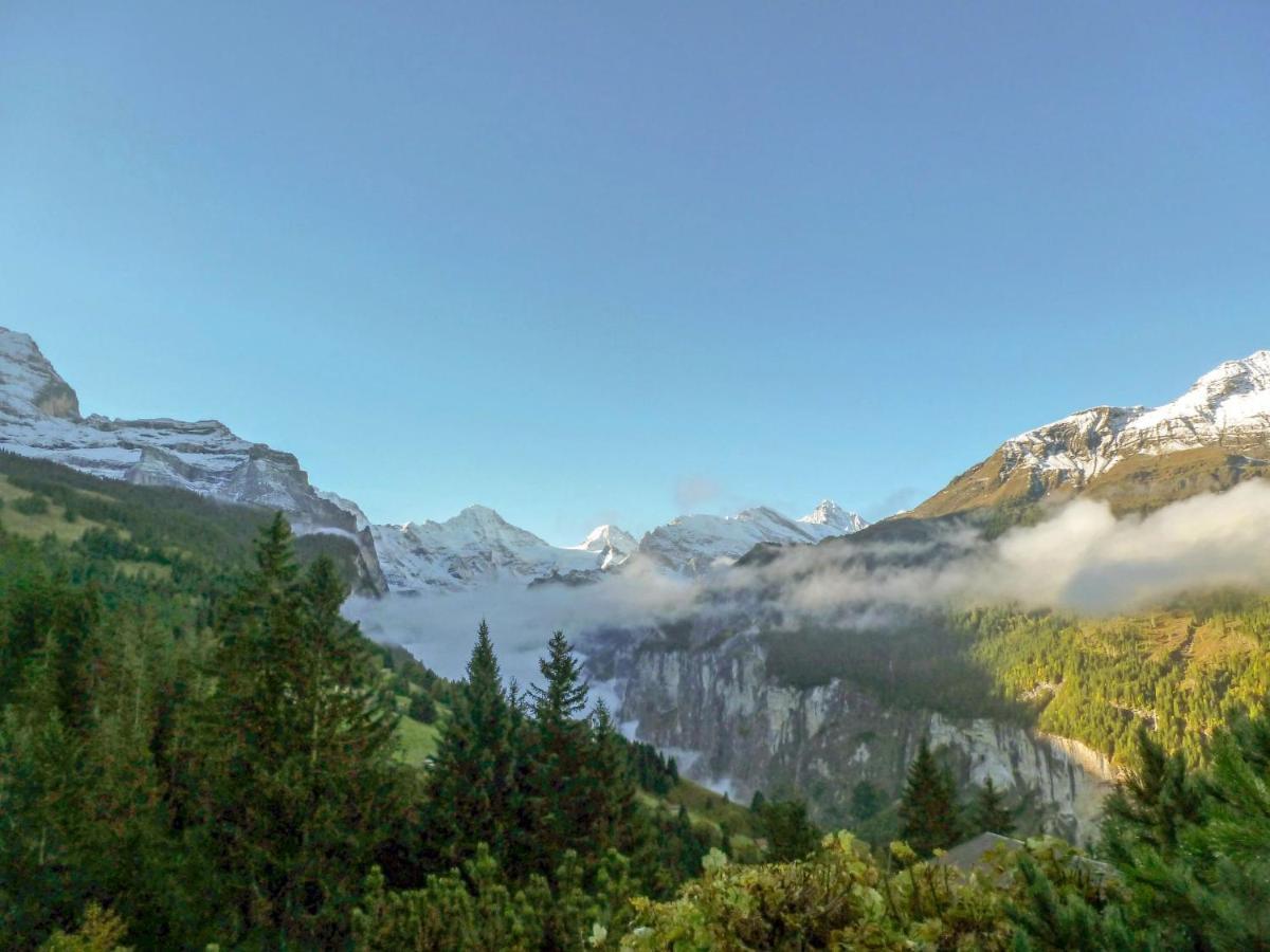 Chalet Zwaergli By Interhome Wengen Exterior photo