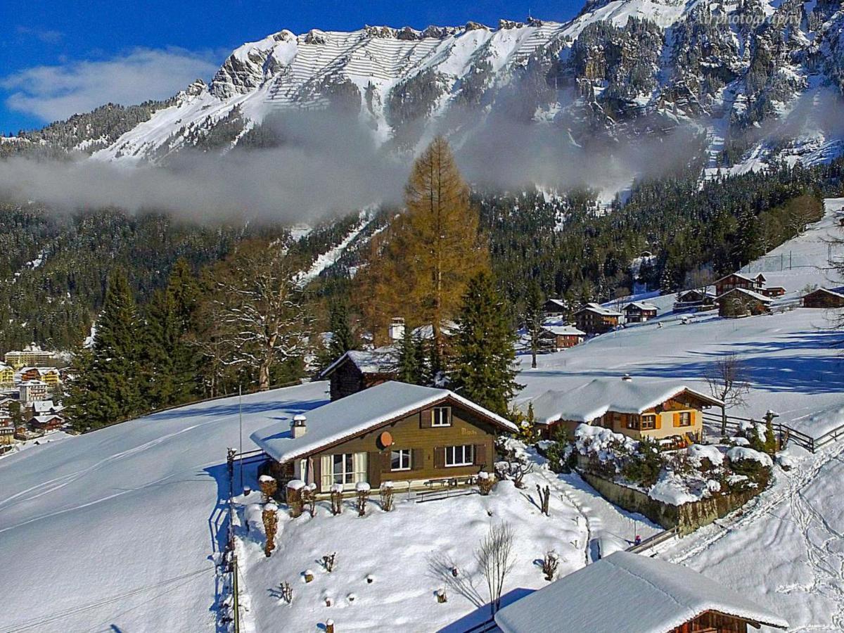 Chalet Zwaergli By Interhome Wengen Exterior photo