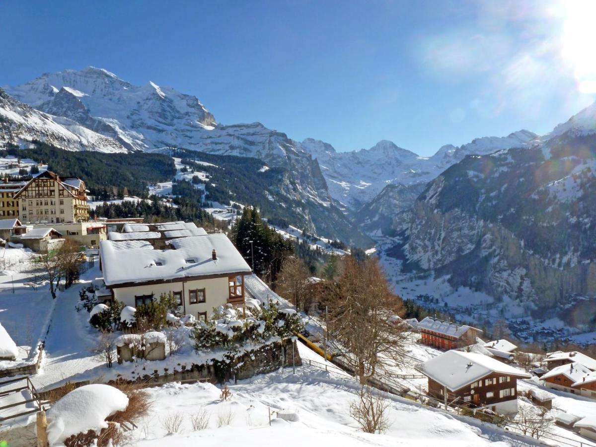 Chalet Zwaergli By Interhome Wengen Exterior photo